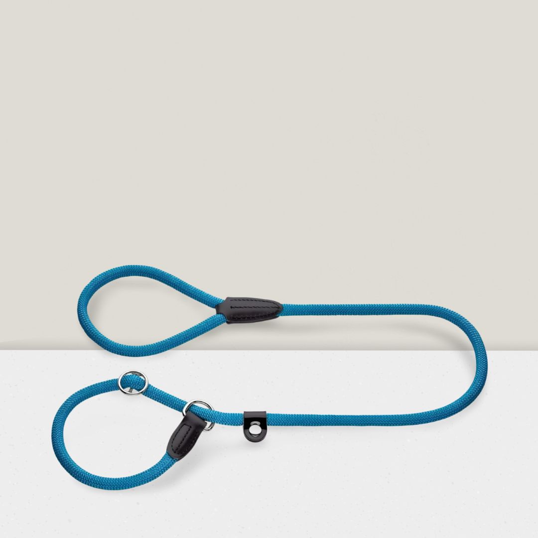 ​Hunter Retrieverlijn Met Stop Freestyle – 170 × 1 cm