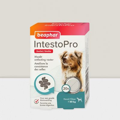 Beaphar Intestopro Hond >20 kg – 20 tabletten