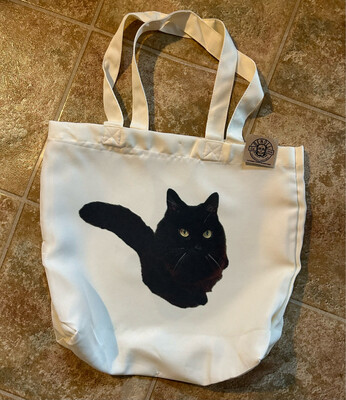 Reusable Tote (13.5&quot; X 13.5&quot;; Medium Sized)