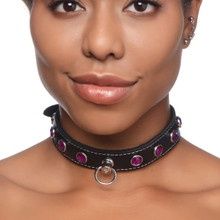 MASTER SERIES LEATHER COLLAR PPL