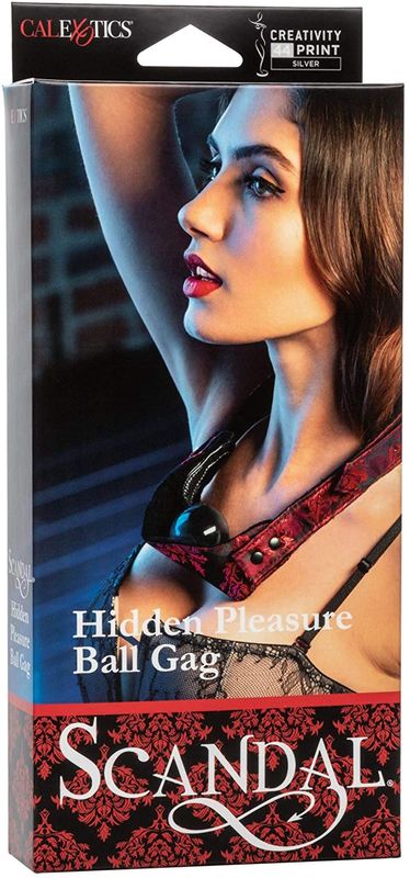 SCANDAL HIDDEN PLEASURE BALL GAG