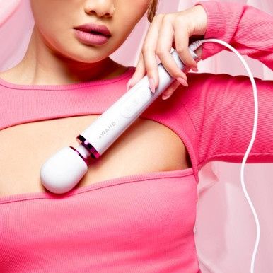 LE WAND PETITE PLUG IN MASSAGER