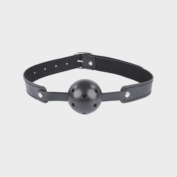 S&amp;M SHADOW SECRETS KIT