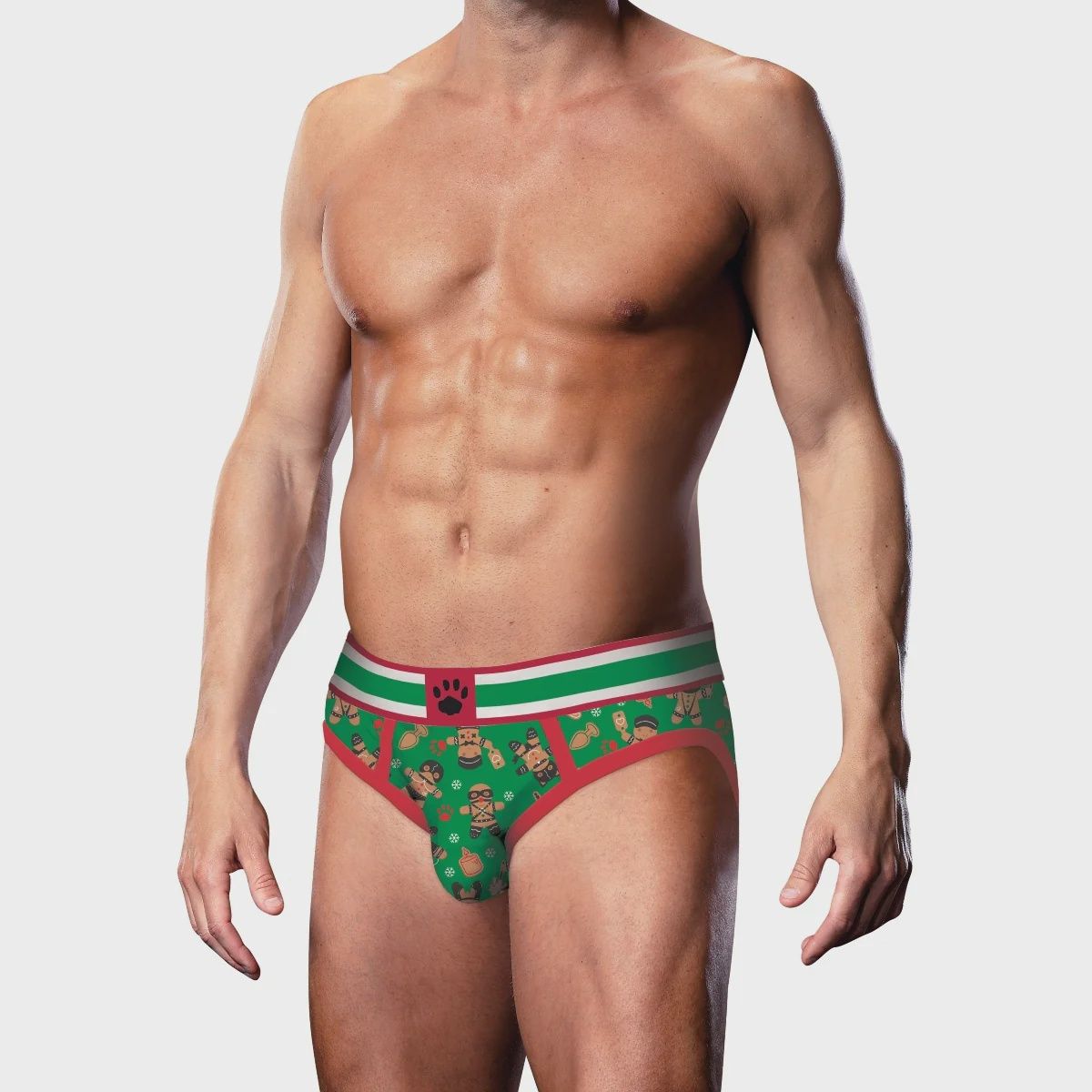 GINGERBREAD BRIEF