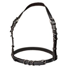 EUPHORIA HALTER BUCKLE HARNESS BLK