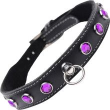 MASTER SERIES LEATHER COLLAR PPL