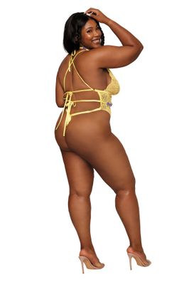 TEDDY &amp; HARNESS PLUS