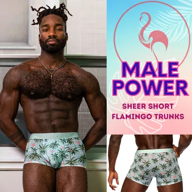 SHEER SHORT FLAMINGO