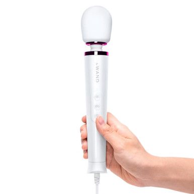 LE WAND PETITE PLUG IN MASSAGER