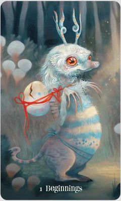 WISDOM OF THE WILD THINGS ORACLE