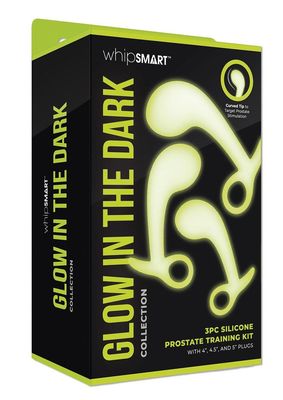 WHIPSMART GITD 3PC PROSTATE TRAINING KIT