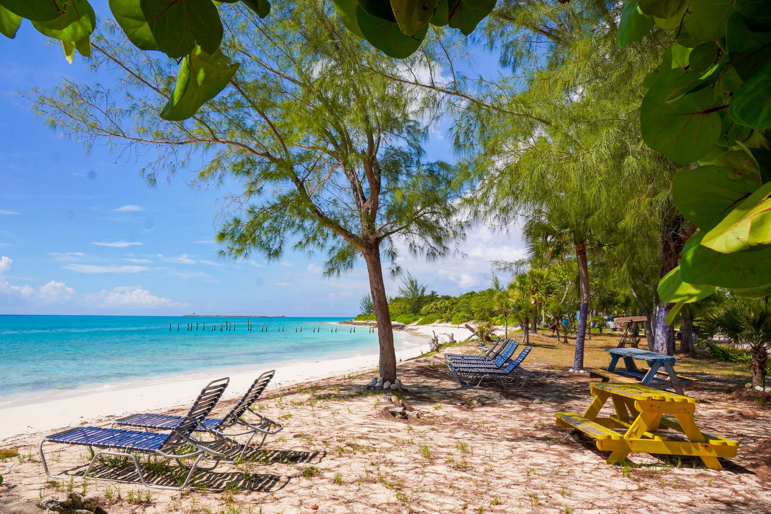 Clifton Heritage Park Membership Clifton Heritage Park Membership