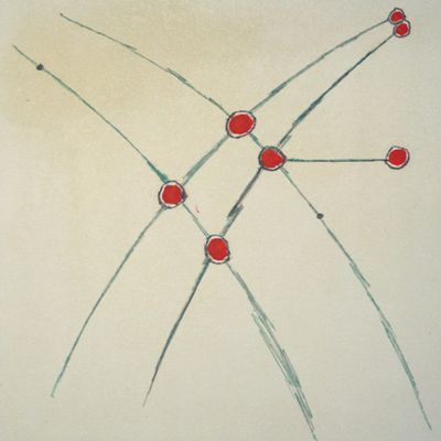 C_B.L.N._1