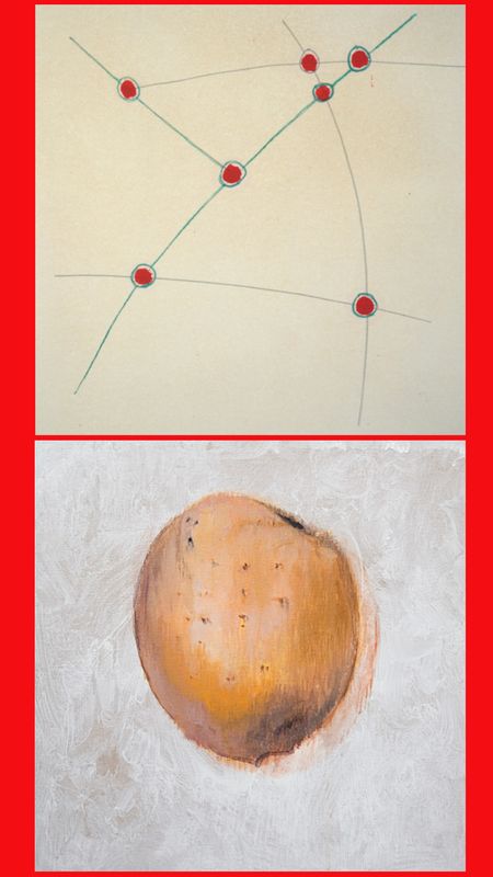 On the Origin of the Univers.