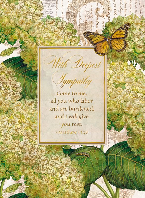 間の楔 SYMPATHY 間の楔 SYMPATHY 間の楔 SYMPATHY Amazon.co.jp: 間の楔のSYMPATHY