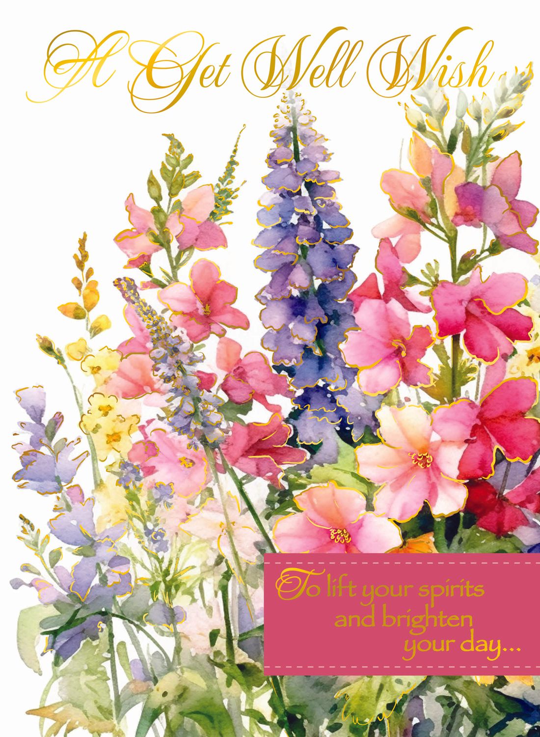 A Get Well Wish
