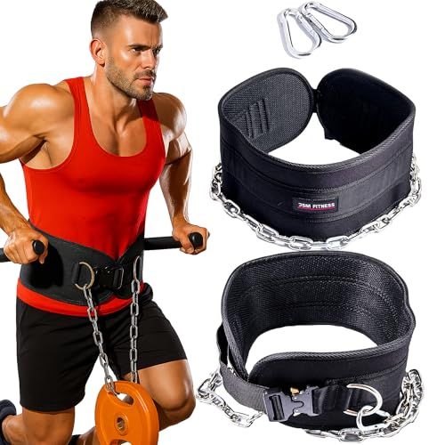 Weighted Dip Belt with Chain 240kg