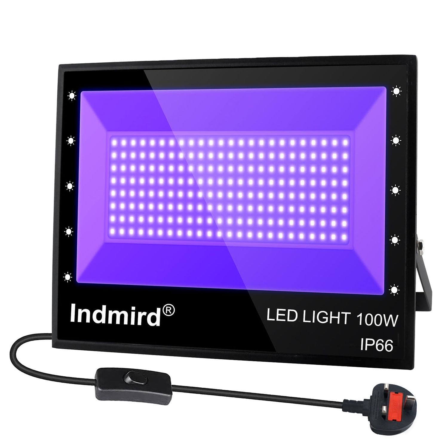 UV Blacklight 100W (IP66, Floodlight)