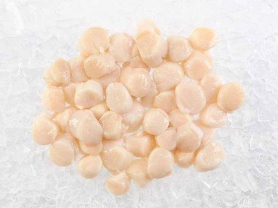 North Carolina Dry Sea Scallops