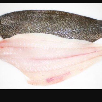 Fresh NC Flounder Skin- On Fillets
