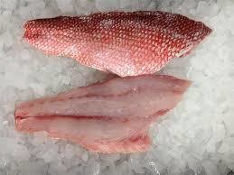 Fresh Red Snapper Skin- on Fillets