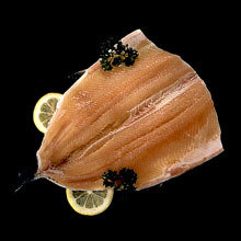 Fresh Rainbow Trout Boneless/Butterfly Fillet