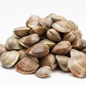 Middle Clams 100 count
