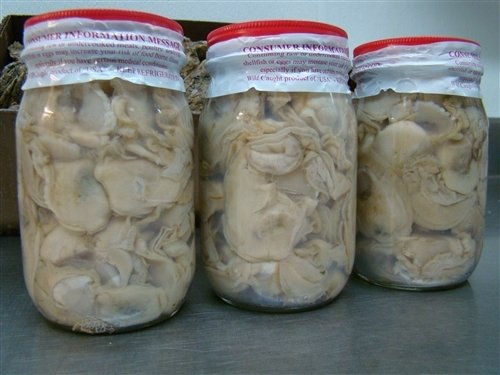 Shucked Select Oysters