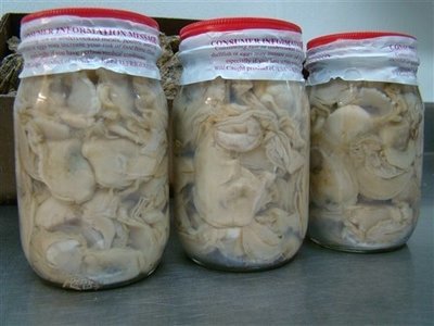 Shucked Select Oysters
