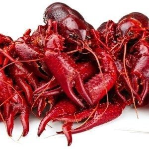 Louisiana Whole Crawfish (ready-to-cook)