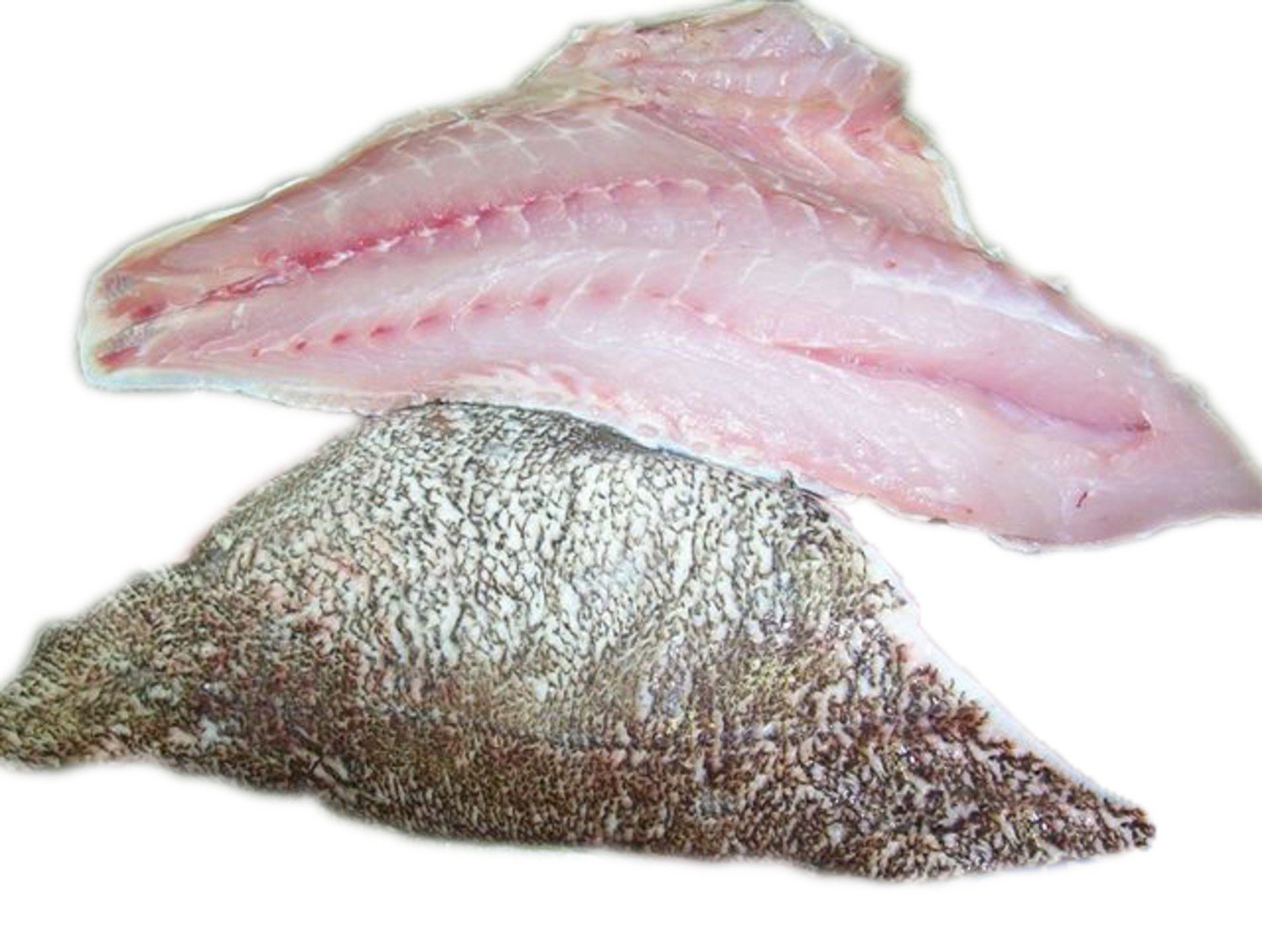 Fresh NC Grouper Fillet