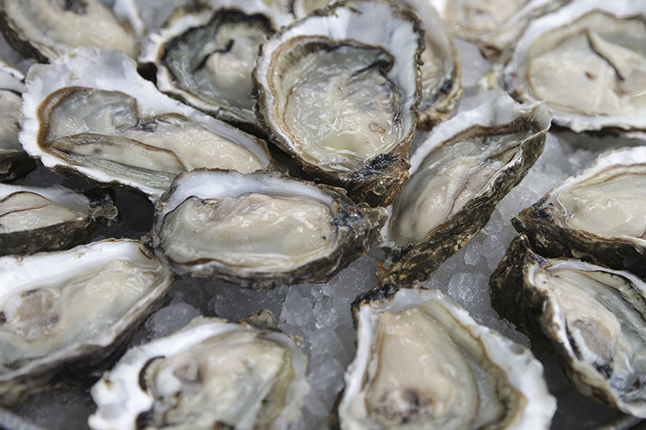 North Carolina Oyster On The Half Shell