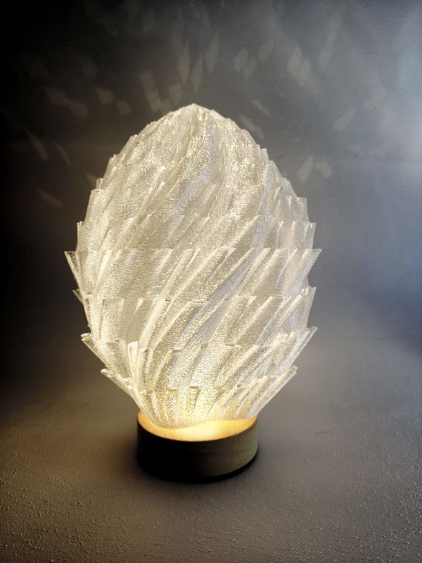 3D Printed Lamp Biomorphic Light Sculpture