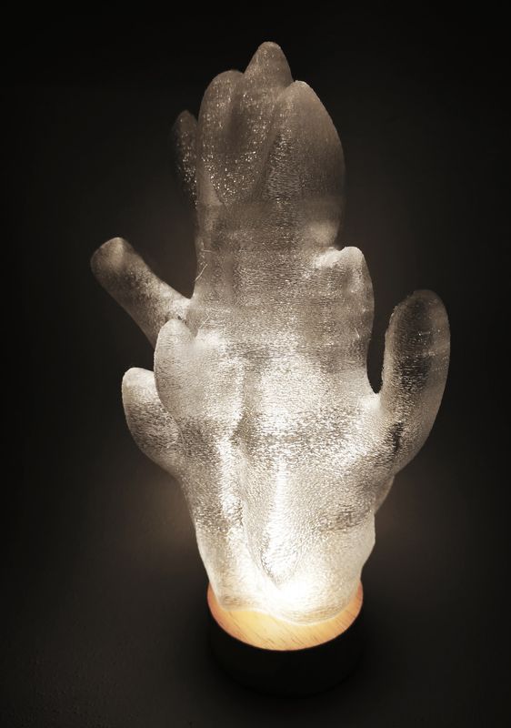 3D Printed Lamp Biomorphic Light Sculpture