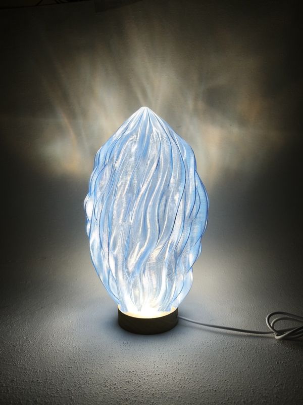 3D Printed Lamp Differential Growth Biomorphic Light Sculpture