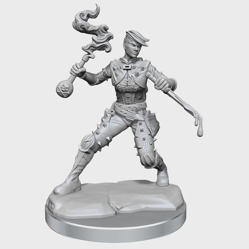 D&amp;D Frameworks: Human Rogue Female - Unpainted and Unassembled