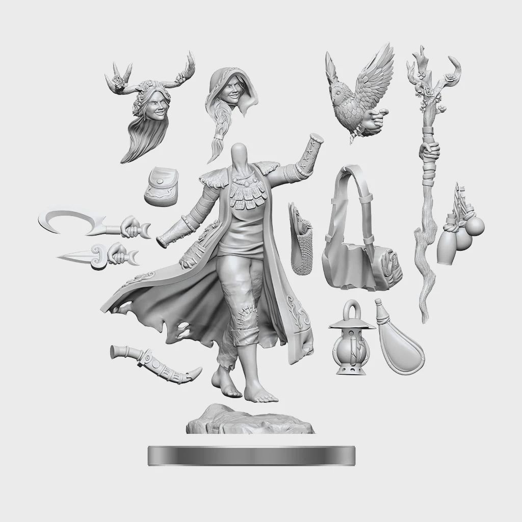 D&amp;D Frameworks: Human Druid Female - Unpainted and Unassembled