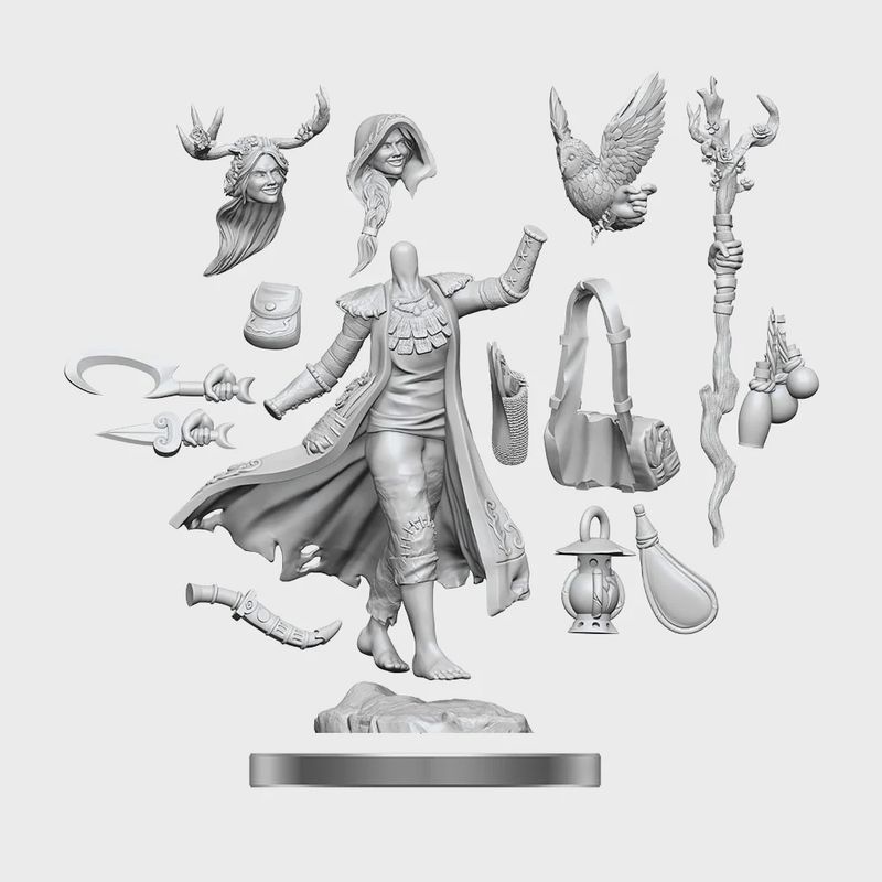 D&amp;D Frameworks: Human Druid Female - Unpainted and Unassembled