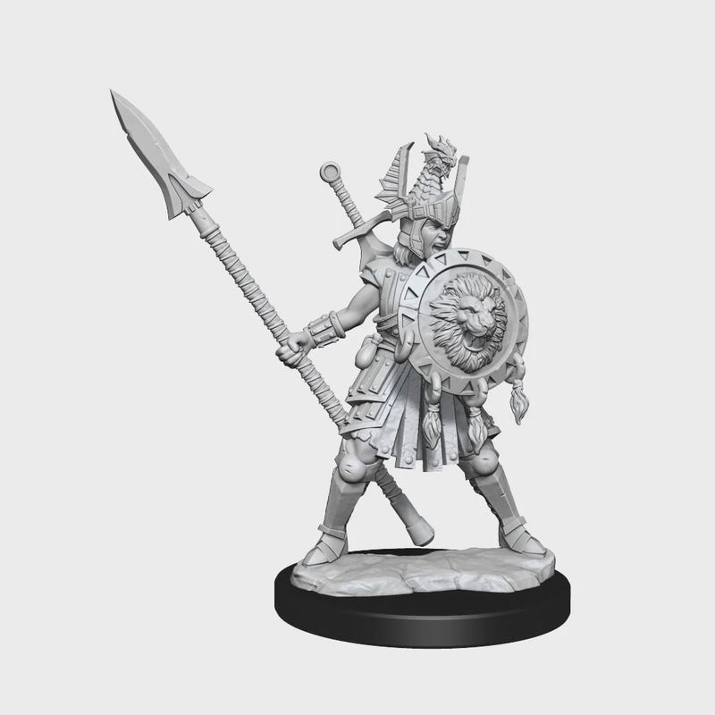 D&amp;D Frameworks: Human Fighter Female - Unpainted and Unassembled