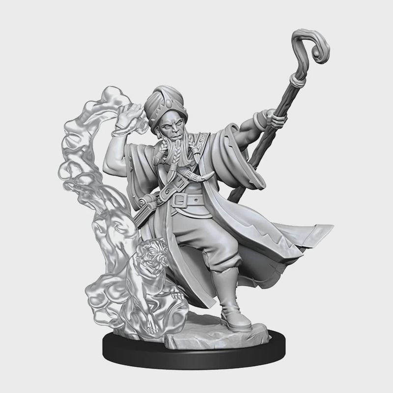 D&amp;D Frameworks: Human Wizard Male - Unpainted and Unassembled