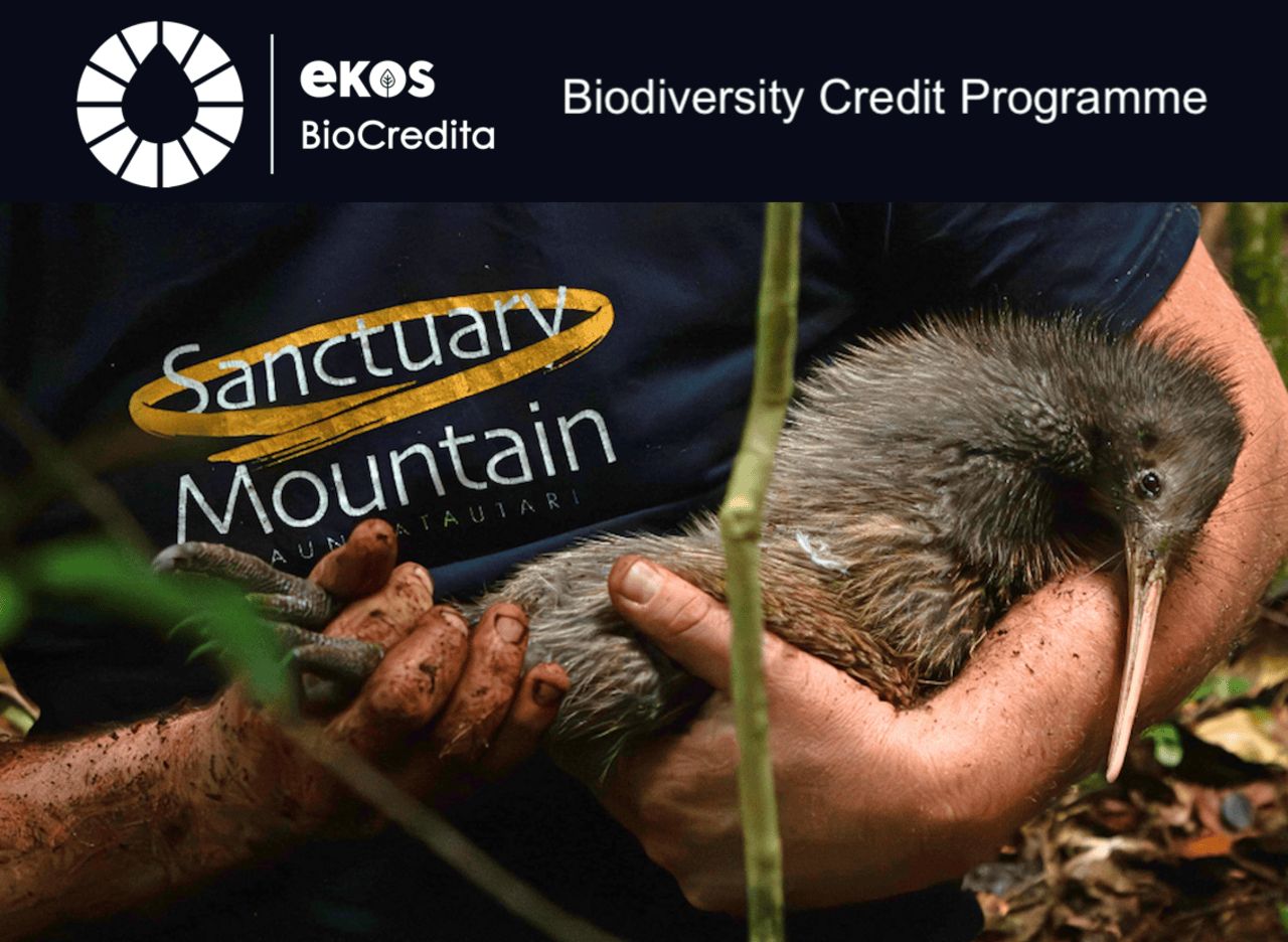 Sanctuary Mountain Maungatautari BioCredita Project