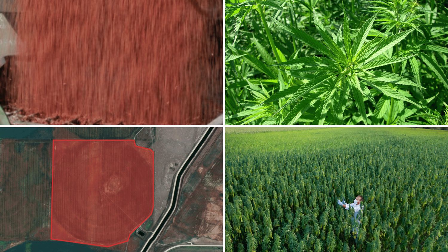 Siksika Irrigation Lands Corp