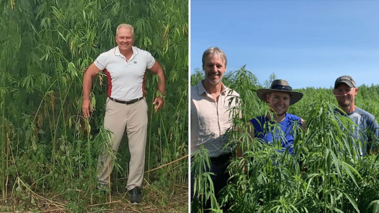 Dibrova Farms