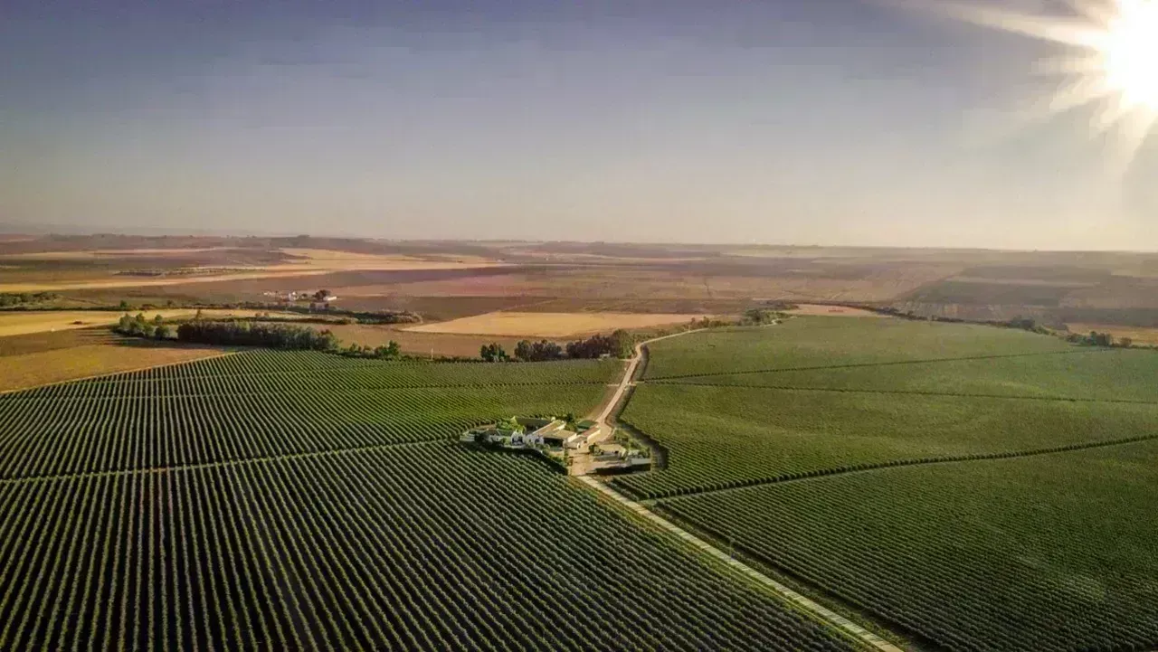 Cultiva Carbono - Agricola Madroñeros Dos SLU