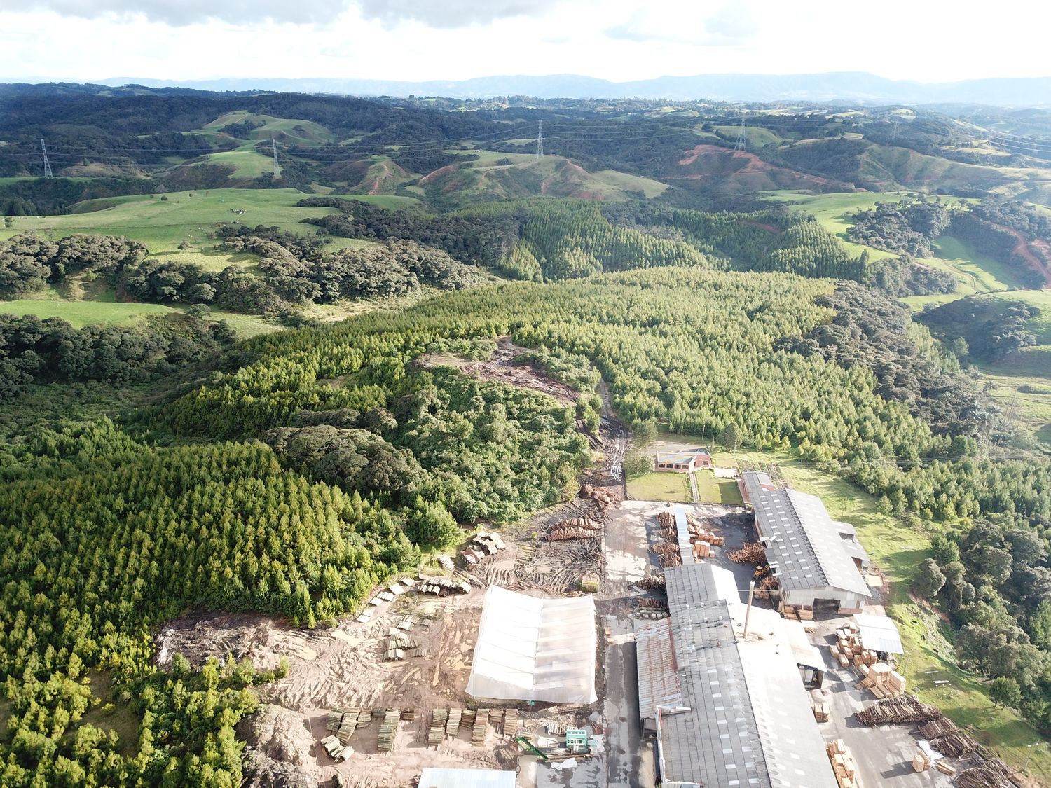 Carbono Reforestadora El Guásimo
