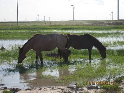 Hebei Guyuan County Dongxinying 199.5 MW Wind Power Project