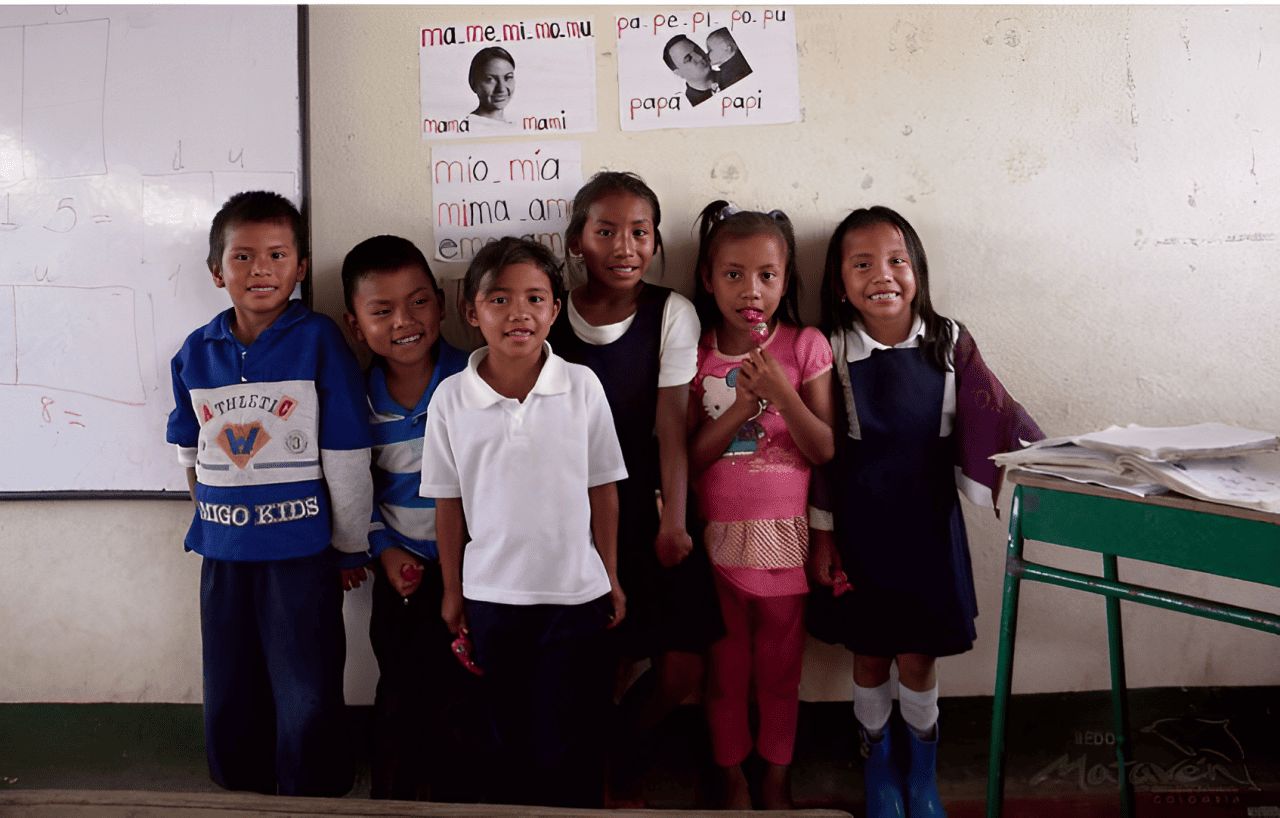 REDD+ Project Resguardo Indigena Unificado Selva de Mataven (RIU SM)