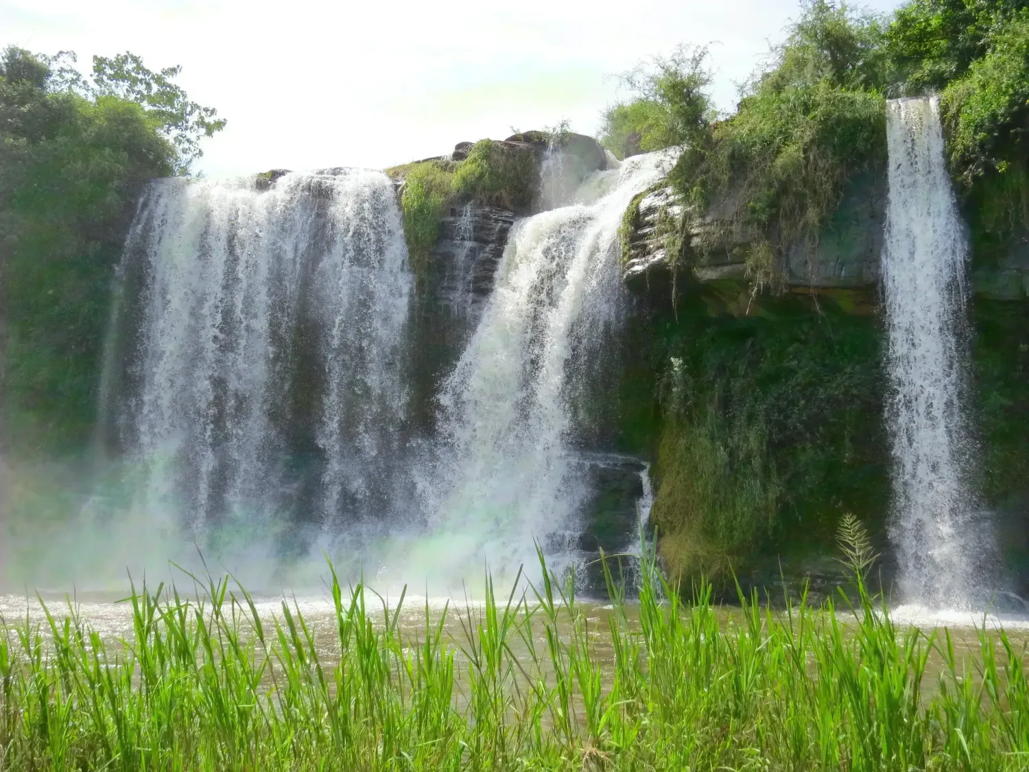 CIKEL BRAZILIAN AMAZON REDD PROJECT AVOIDING PLANNED DEFORESTATION