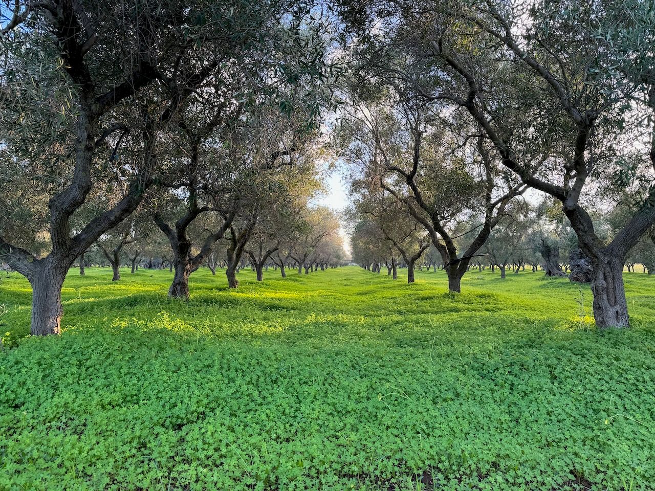 AgroEcology_Italy