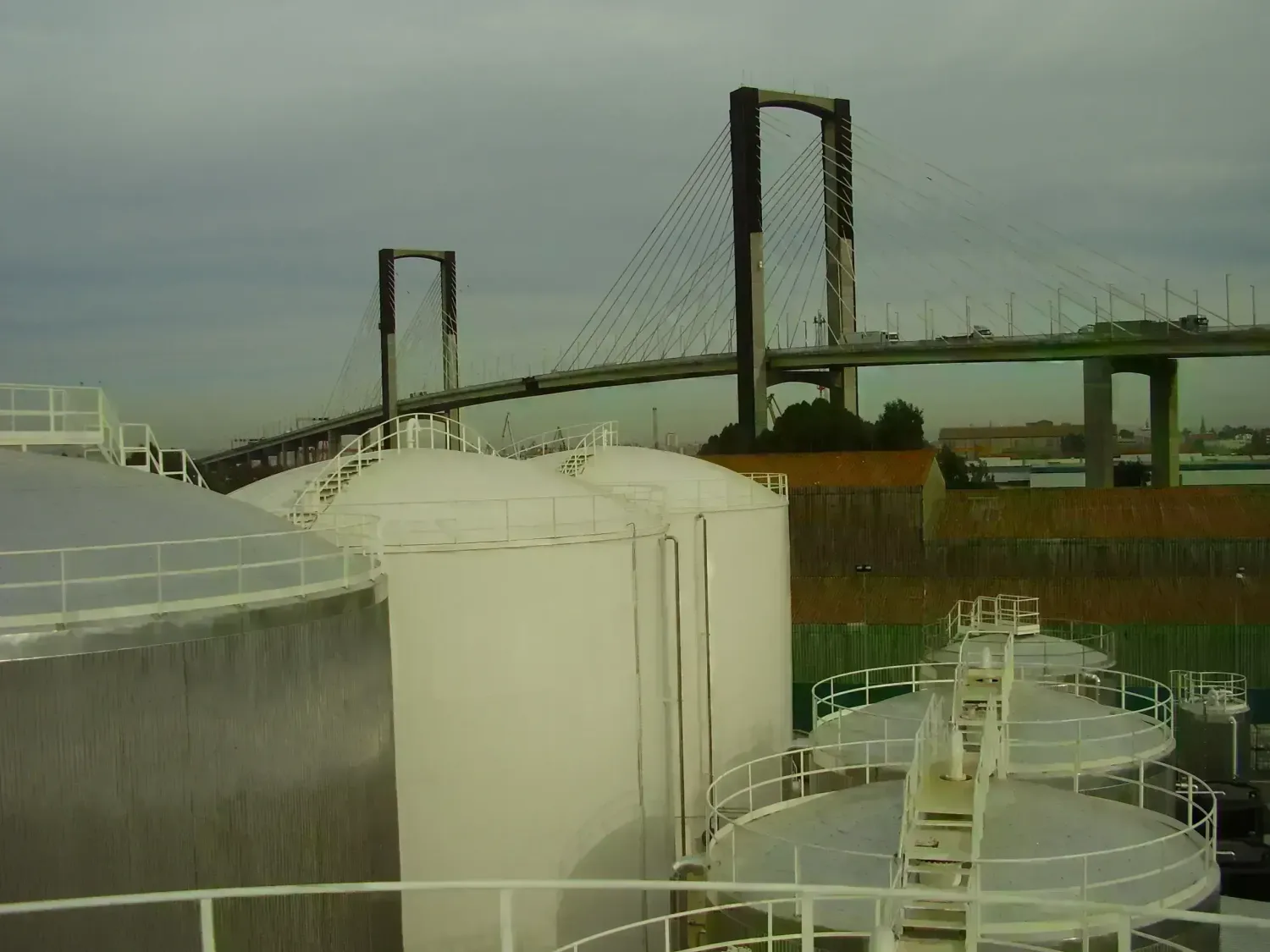 Substitution of fossil fuels for the use of sustainable biofuels manufactured by Biotrading 2007 S.L.